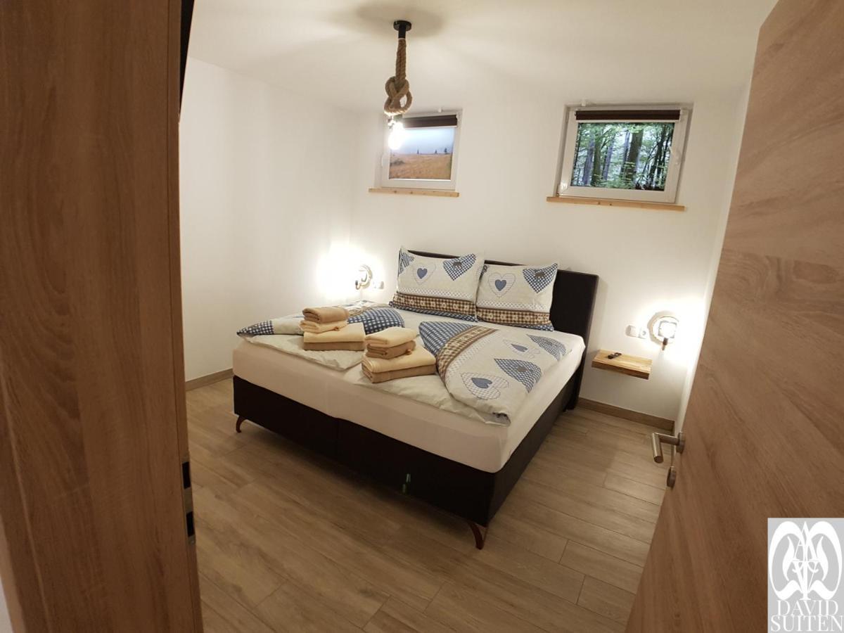 David Apartment Mauterndorf (Salzburg)