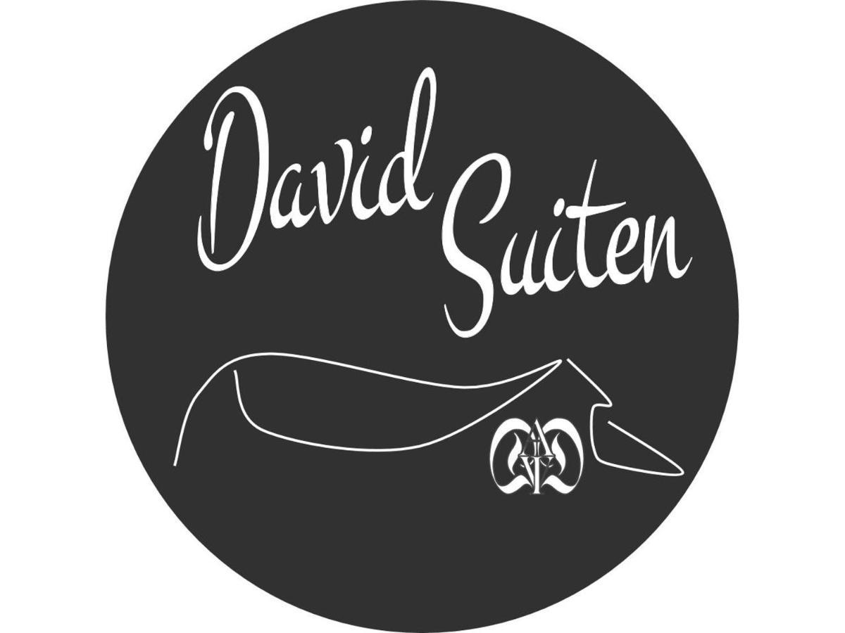 Apartmán David *